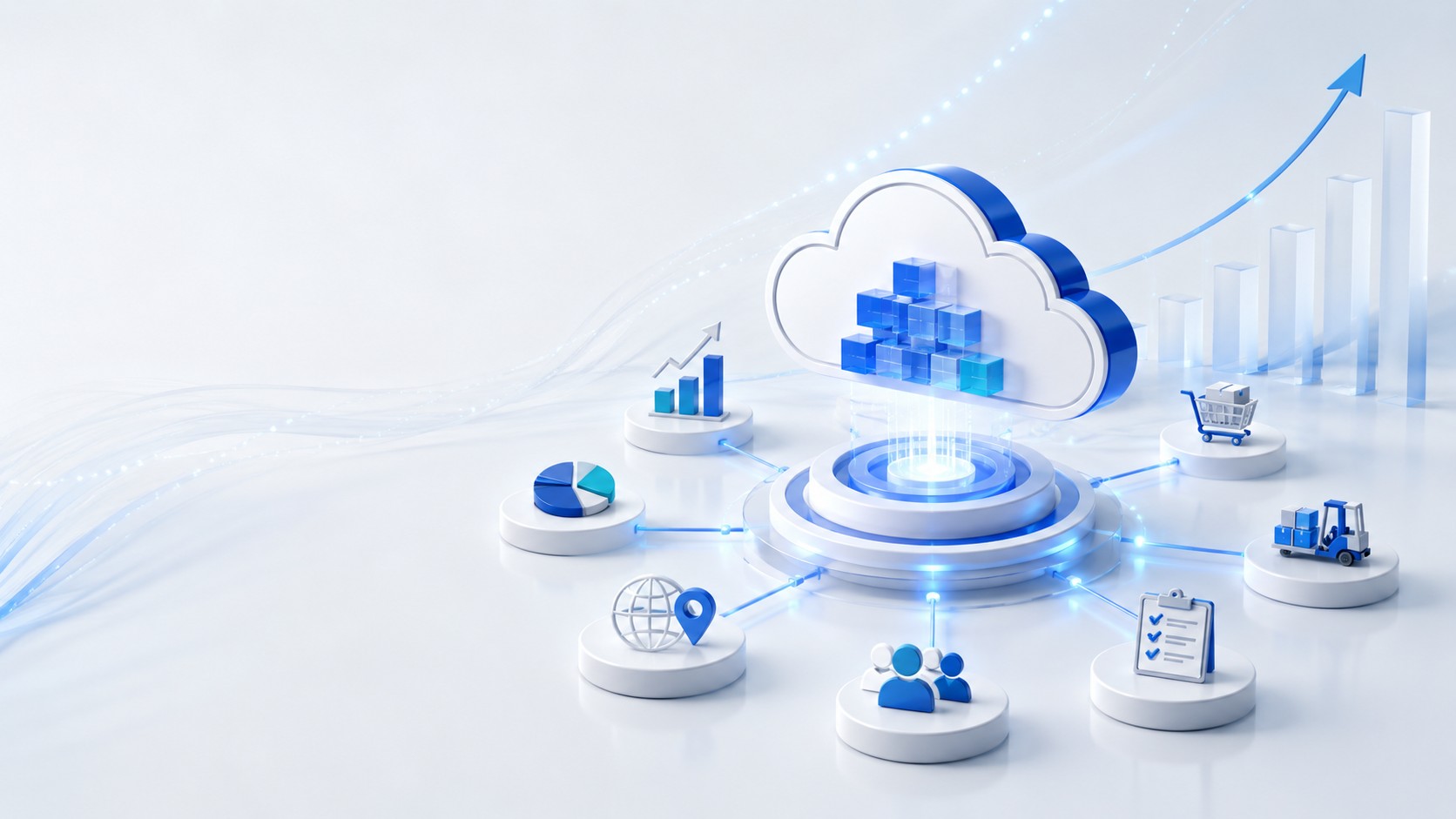 SAP Cloud ERP